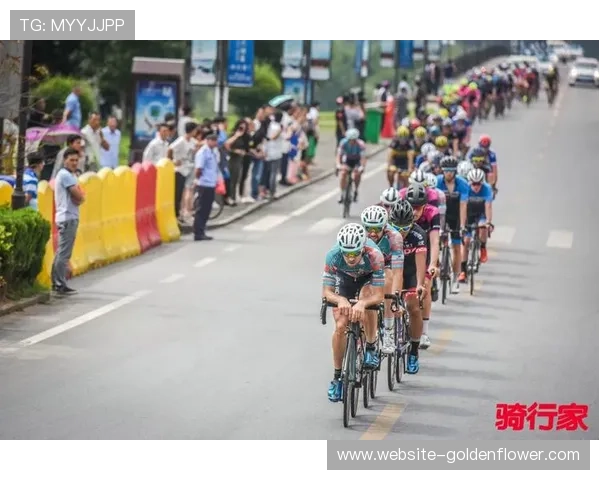 桨板锦标赛男女混合龙板冲刺赛 团队协作成制胜关键