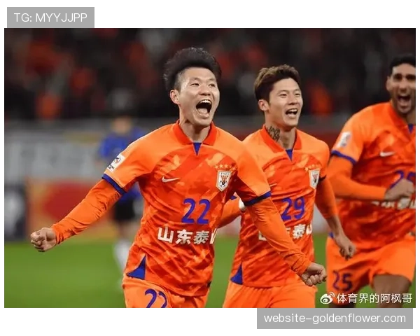 视频助理裁判长时间介入，山东泰山与海港一役中断超过8分钟